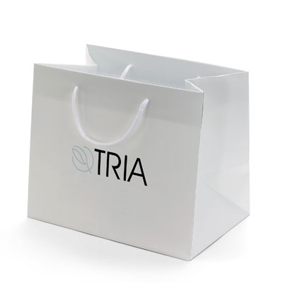 Laminated Paper Bags on White Matte Laminated Paper Shopping Bags Printed With 2 Colors